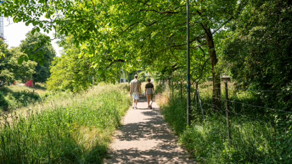 4.1 Frauenfeld Mein Weg